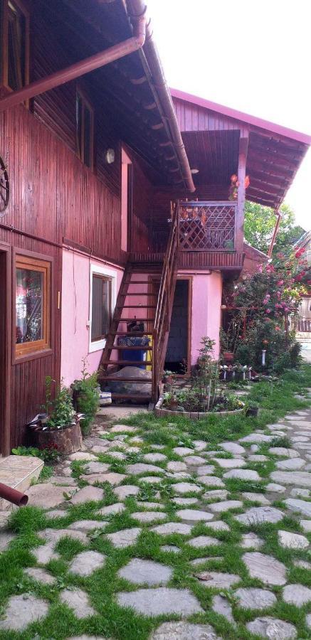 Вилла Casa Boierului Imbri Кырцишоара Экстерьер фото