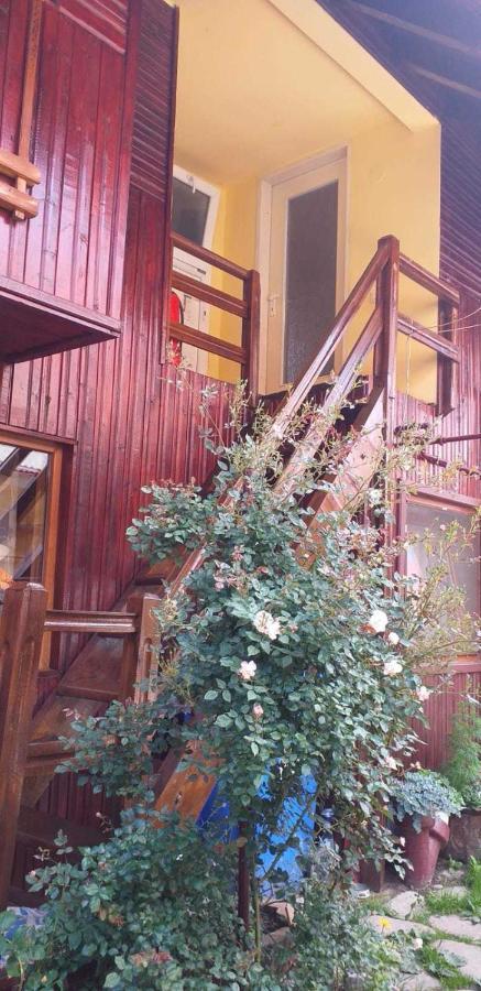 Вилла Casa Boierului Imbri Кырцишоара Экстерьер фото